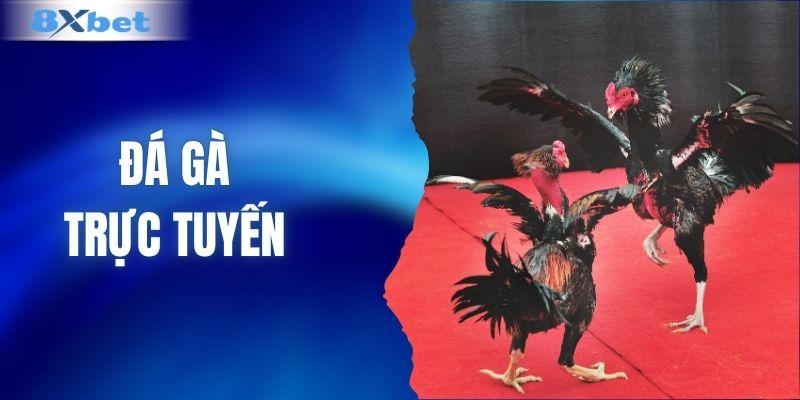 Đá gà trực tuyến