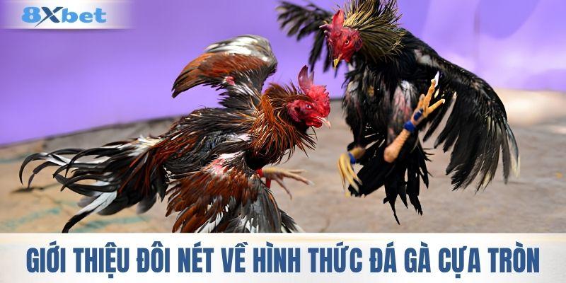 Giới thiệu đôi nét về hình thức đá gà cựa tròn